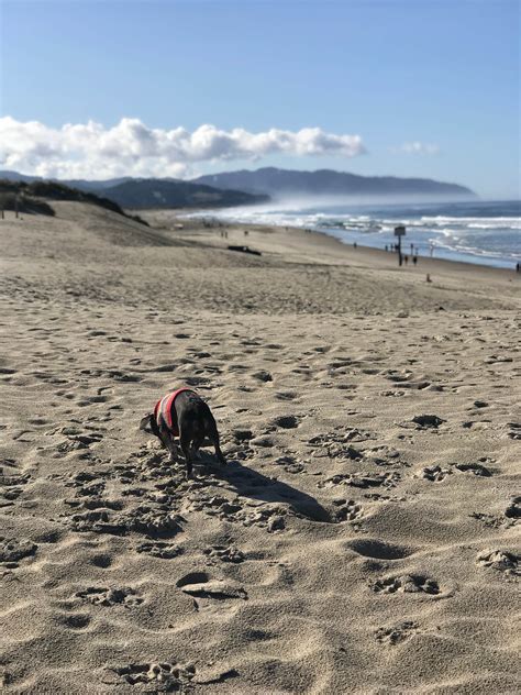 Webb County Campground & Park | Pacific City, OR