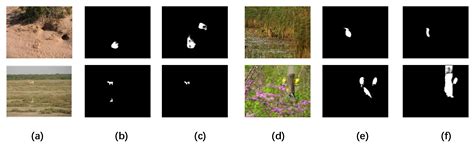 An Adaptive Multi-Content Complementary Network for Salient Object ...