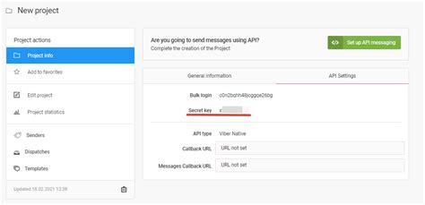 Secret API Key Example 的图像结果