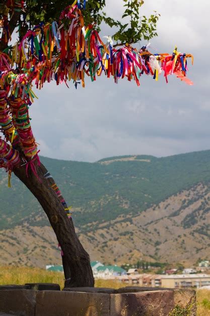 Wish tree | Premium Photo