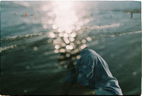 Nature Slideshow 的图像结果