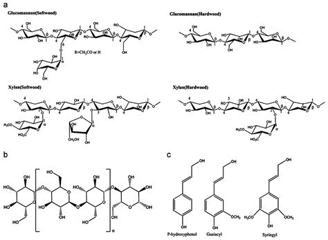 Assessment of the Pretreatments and Bioconversion of Lignocellulosic ...