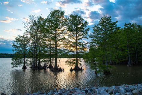 Image result for Stumpy Lake Map