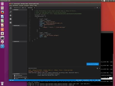 Launch JSON vs Code 的图像结果