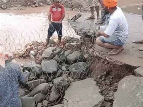 Bhakra near danger mark triggers fresh flood fears in Punjab