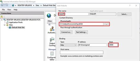 Image result for Hosting to IIS Web API .Net 6