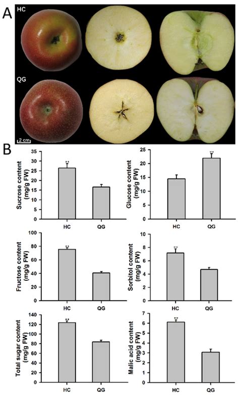 Combined Profiling of Transcriptome and DNA Methylome Reveal Genes ...