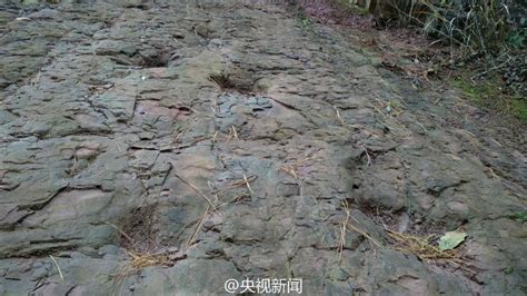贵州河滩现怪脚印 “脚印”是一亿年前恐龙足迹化石 _国内国际_新闻频道_福州新闻网