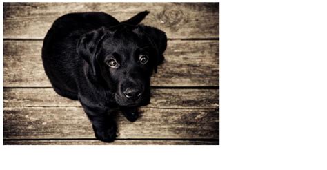 HTML Tutorial HelloWorld 的图像结果