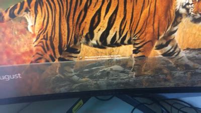 Alienware Screen Lines 的图像结果