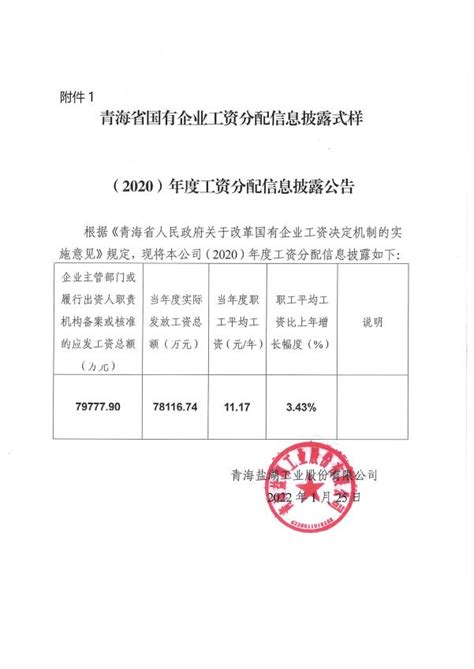 （2021）年度工资分配信息披露公告 - 公司公告 - 青海省三江集团有限责任公司【门户】