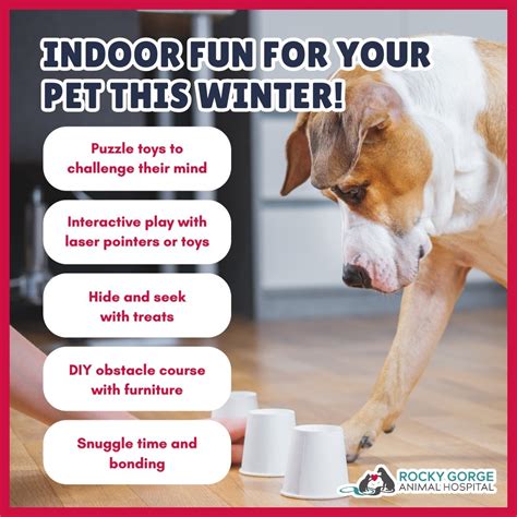 Rocky Gorge Animal Hospital (@rockygorgeanimalhospital) • Instagram ...