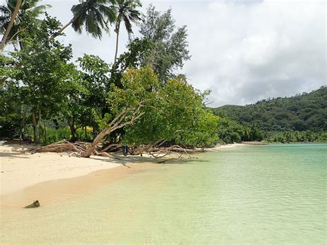 VILLA BAMBOU (Seychelles/Mahe Island) - Villa Reviews & Photos ...