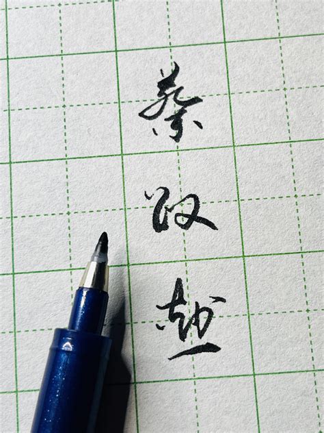 Image result for Cursive Script