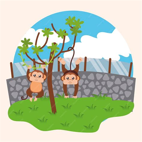 Premium Vector | Pair of monkeys on a tree Zoo Vector illustration
