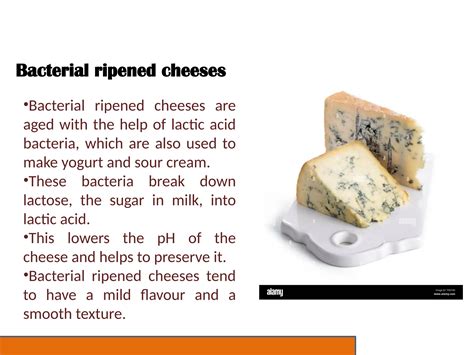 different types of bacterial and mold ripened cheese.pptx