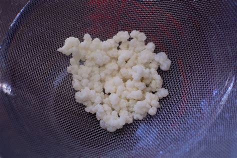 How to Make Homemade Milk Kefir Photo Tutorial