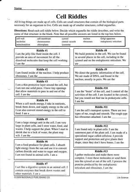 Image result for Cell Cycle Worksheet Answer Key