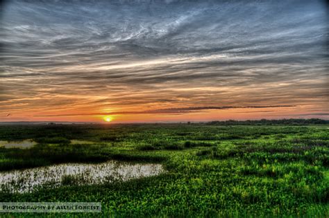 Santa Fe College, NW 83rd St, Gainesville, FL, USA Sunrise Sunset Times