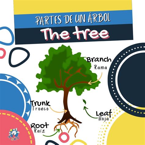The tree | Ejercicios de ingles, Partes del arbol, Partes de la misa