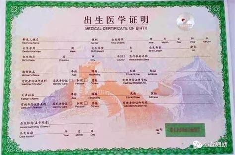 2019新版出生医学证明第六版样式图(有哪些改动)- 北京本地宝