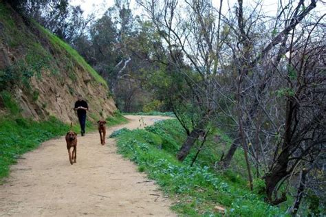 Hiking In Los Angeles: 11 Exciting Trails To Explore Here