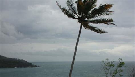 Cyclone 'Montha' Alert: Flight Operations Affected, Schools Shut In ...