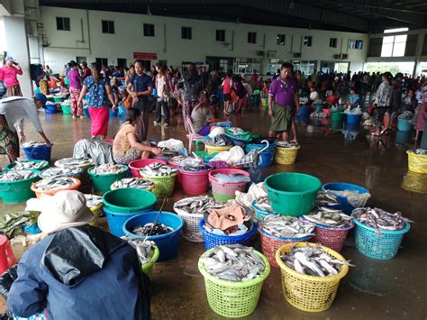 https://cdn.myanmarseo.com/file/client-cdn/2023/09/p7-1-1-scaled.jpg