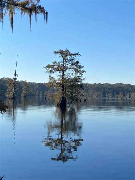 10th (and FINAL) Loup Garou Trail Run, 3469 Chicot Park Rd., Ville ...
