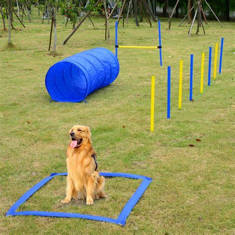 Pawhut 4PC Obstacle Dog Agility Training Course Kit Backyard ...