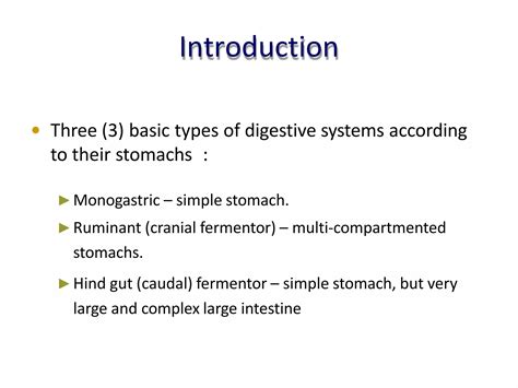 comparative anatomy digestive system.pptx