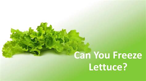 Can You Freeze Lemon Zest? How Long Does It Last?