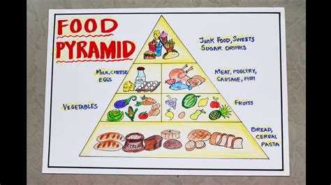 Food Pyramid Project Work 的图像结果