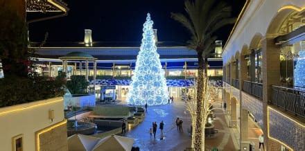 10 Things to Do in Albufeira in December - Hellotickets