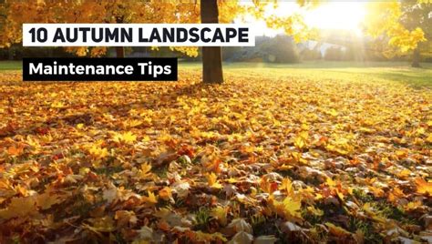 Image result for Landscape Maintenance Tips