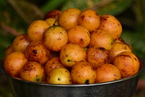 Sour tropical fruits free image download
