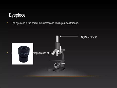 Microscope parts and functions | PPT
