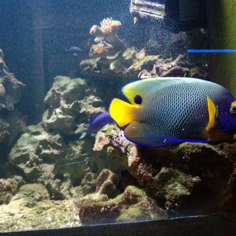 AQUARIUM (2025) All You Need to Know BEFORE You Go (with Photos ...