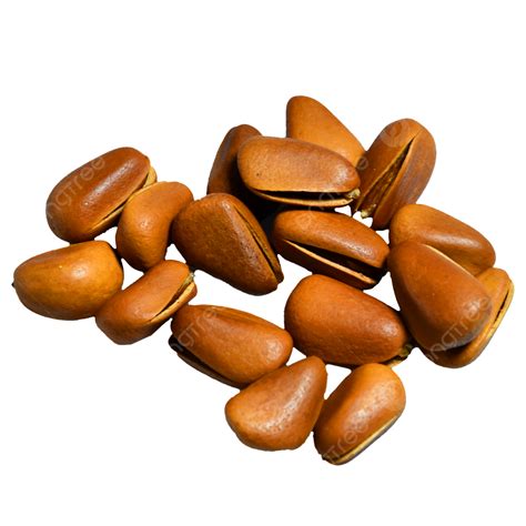 Twenty Three Delicious Pine Nuts, Snacks, Peeling, Opening PNG ...
