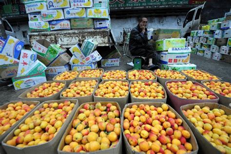 太原市水西关果品交易市场 太原水果批发市场_地址_地图_公交_电话-淘金地农业网