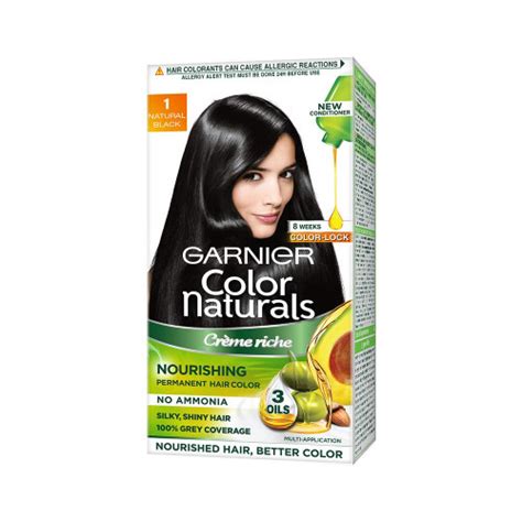Garnier Color Naturals 1 Natural Black 100 ml : Buy Garnier Color ...