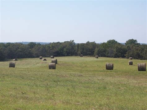 How We Reclaimed our Hay Field - Oak Hill Homestead