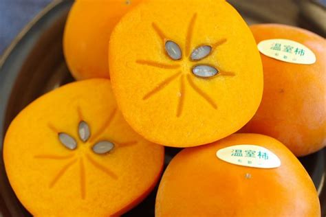 Image result for Moduleization
