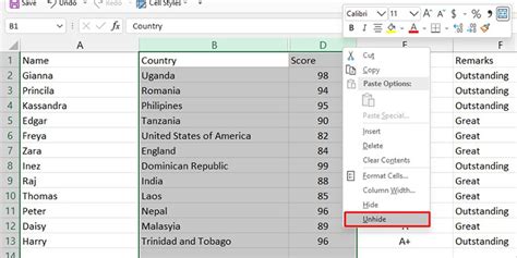 Image result for Excel Hide Unhide Column Using a Checkbox