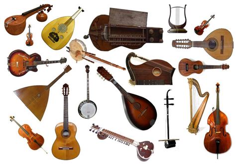 Image result for Examples of String Instruments