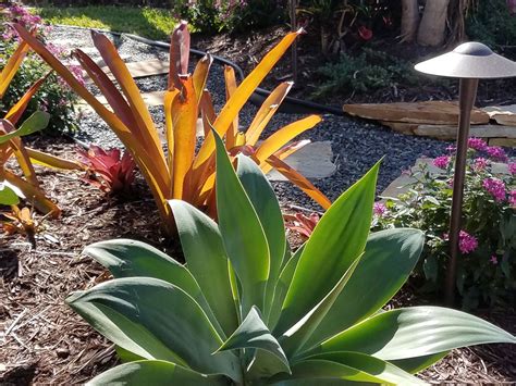 Decorative Landscape Stone 的图像结果