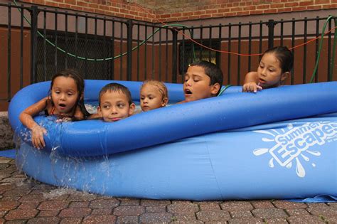 Image result for Matrix Pest Control