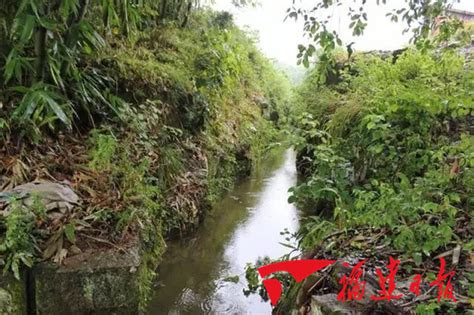 明渠流量计在宁德市赤溪镇用于农田灌溉水计量 - 维科号