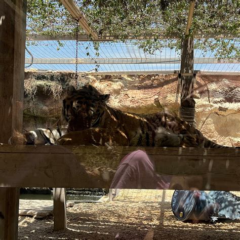 WILDLIFE PARK MALTA - All You Need to Know BEFORE You Go 2026 (with ...