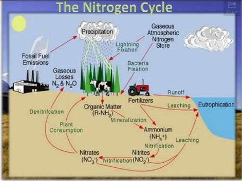 Environmental 的图像结果